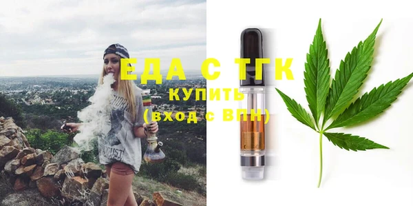 тгк Новозыбков
