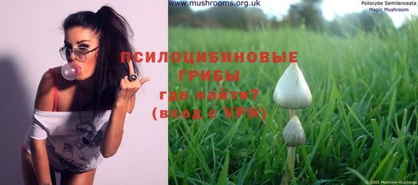 прущие крисы Новокубанск