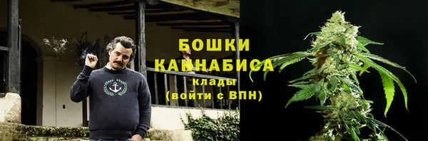 тгк Новозыбков