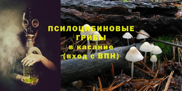 дживик Нягань