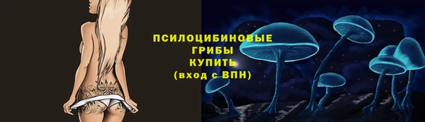 тгк Новозыбков