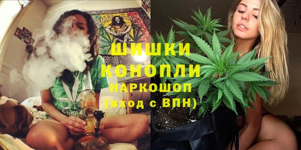 тгк Новозыбков