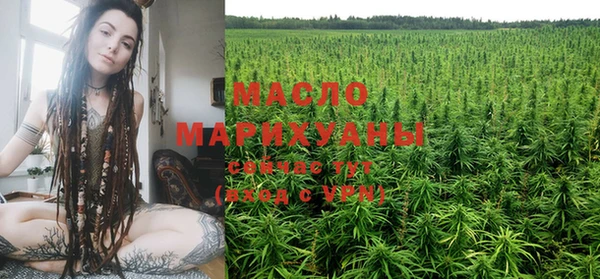 тгк Новозыбков