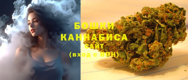 тгк Новозыбков