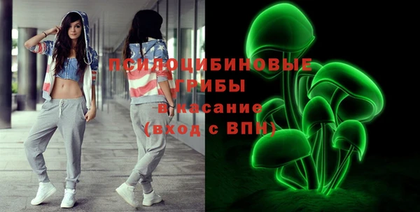 тгк Вяземский