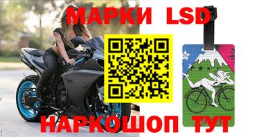 прущие грибы Ипатово
