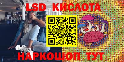 прущие грибы Ипатово