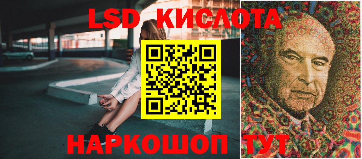 Псилоцибиновые грибы Корсаков