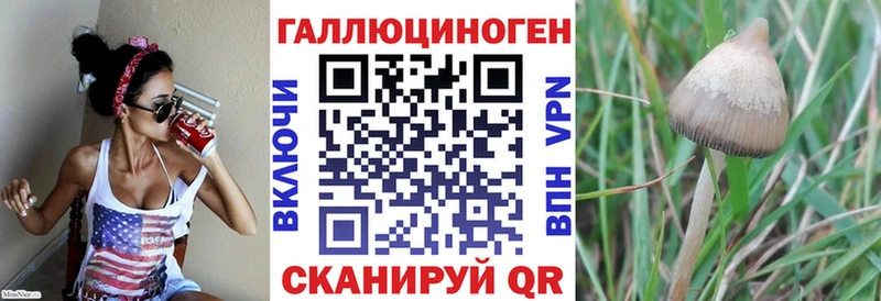 даркнет сайт  Корсаков  Галлюциногенные грибы ЛСД 