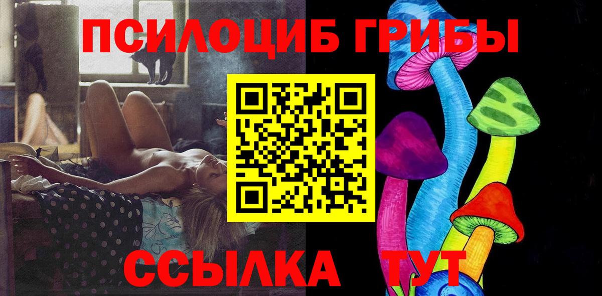 Корсаков  Псилоцибиновые грибы Cubensis  Вход с VPN 
