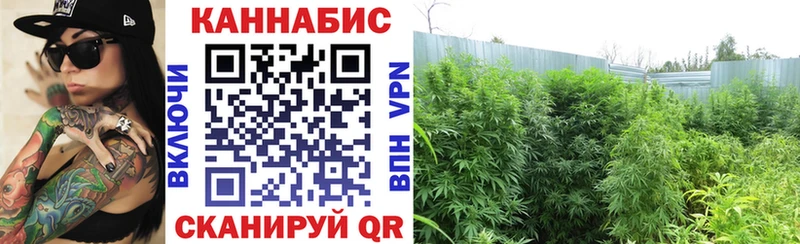 хочу Корсаков Конопля Ganja